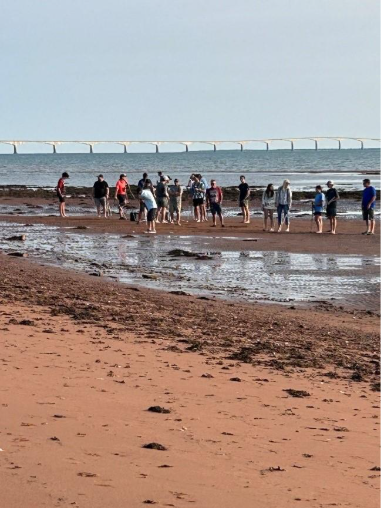 People playing golf on a sandbar.
