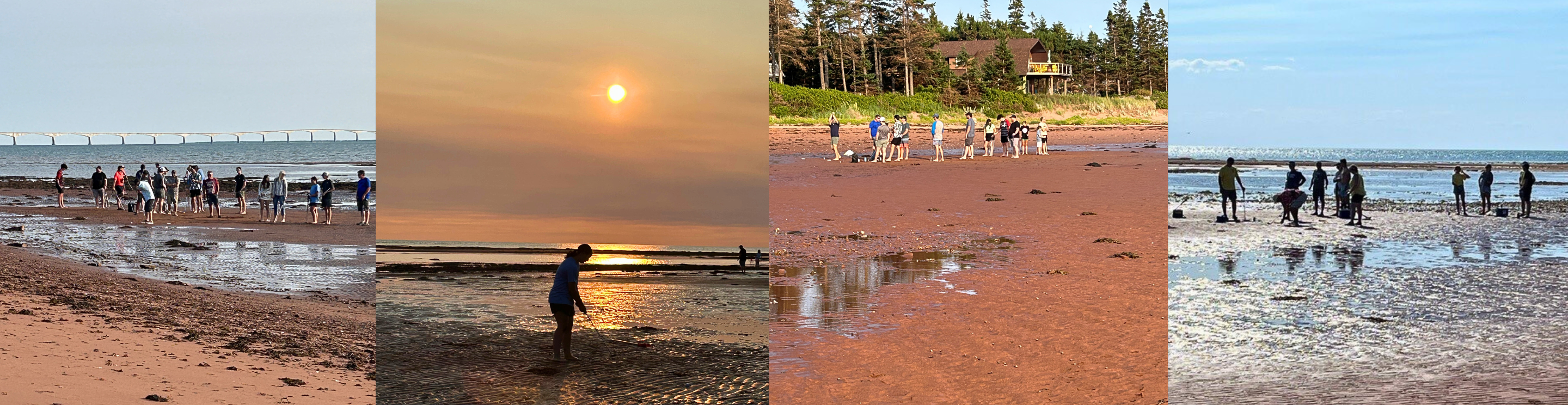 Four images of people playing golf on a sandbar